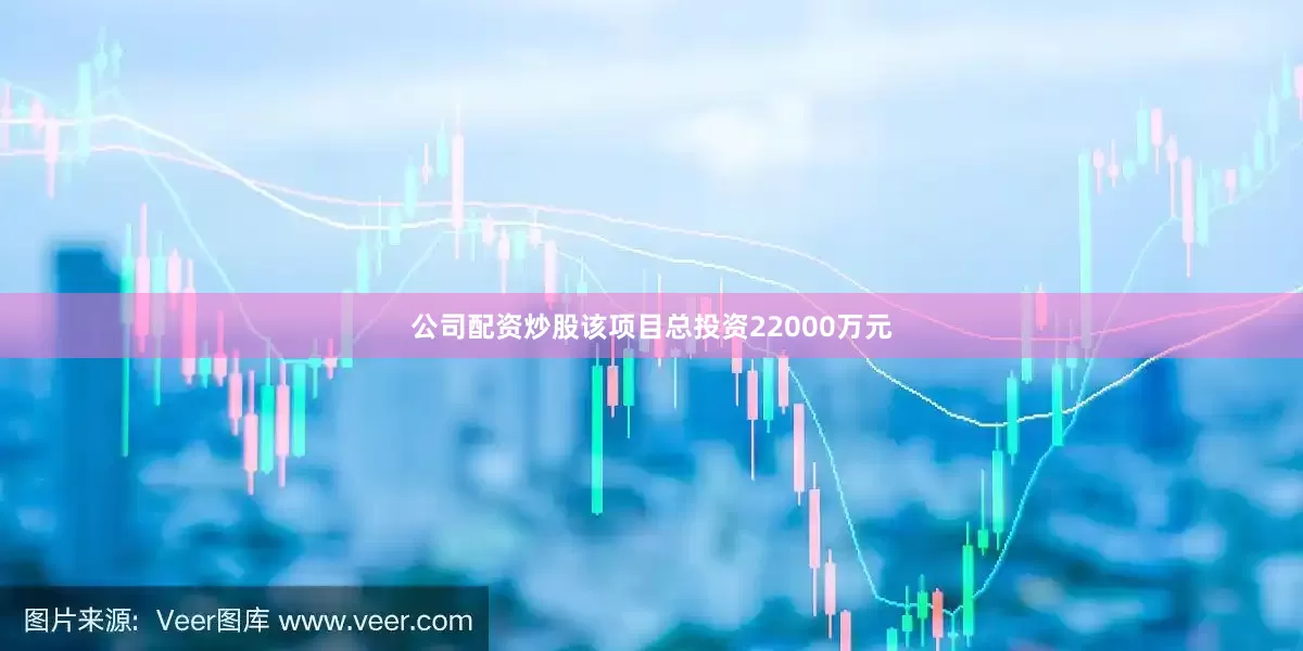 公司配资炒股该项目总投资22000万元