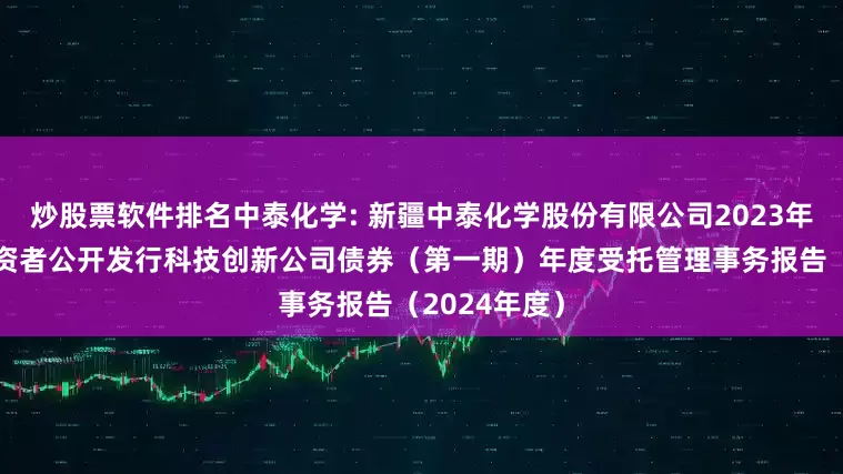 炒股票软件排名中泰化学: 新疆中泰化学股份有限公司2023年面向专业投资者公开发行科技创新公司债券（第一期）年度受托管理事务报告（2024年度）