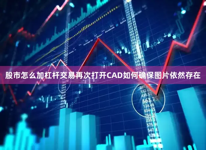 股市怎么加杠杆交易再次打开CAD如何确保图片依然存在